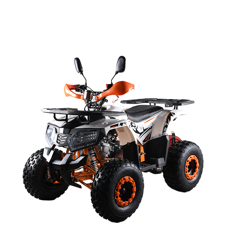 110cc CE EPA  ATV Adult 4-Whee - Outdoor Adventure Quad Biking ulasan dan harga