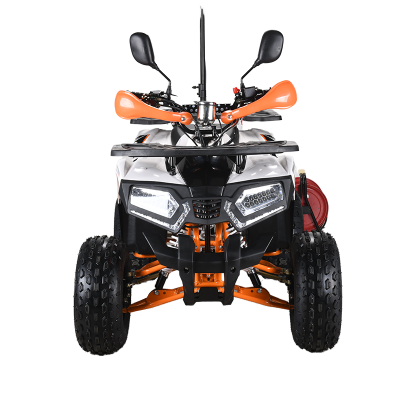 110cc CE EPA  ATV Adult 4-Whee - Outdoor Adventure Quad Biking ulasan dan harga