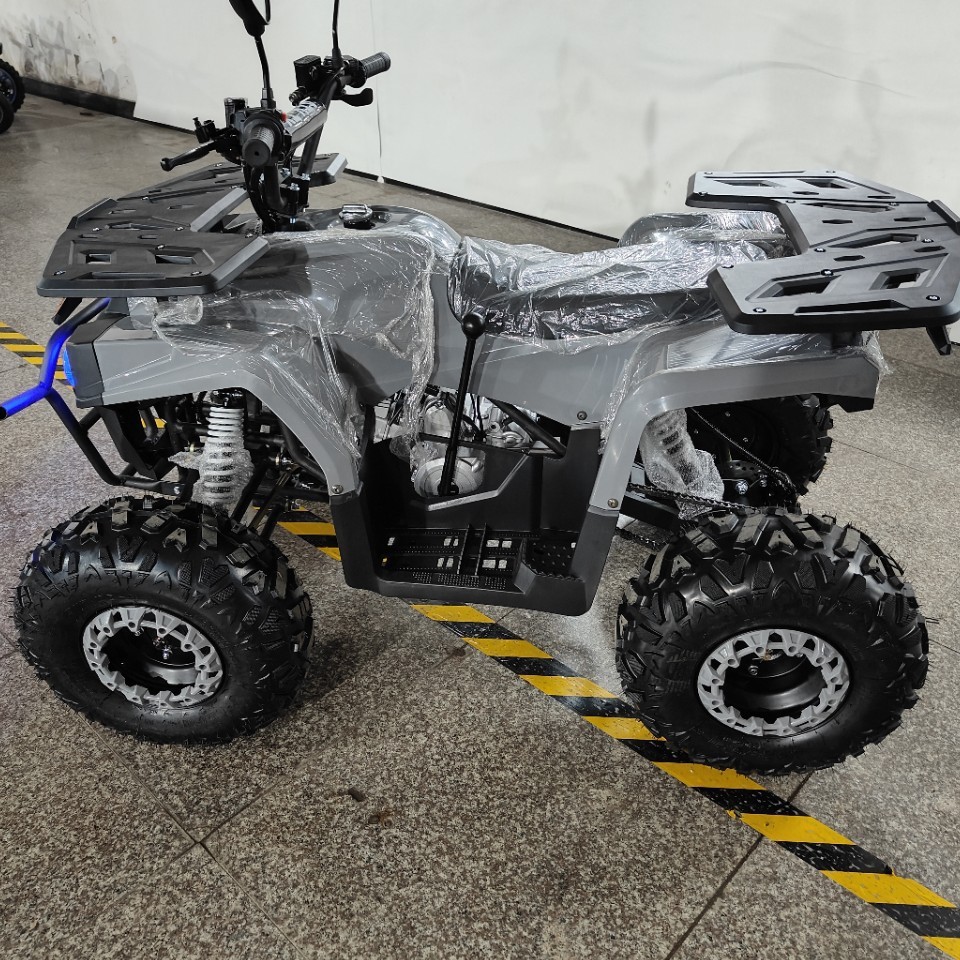 ATV 125cc, All-Terrain Quad Bi - Outdoor Adventure Quad Biking ulasan dan harga