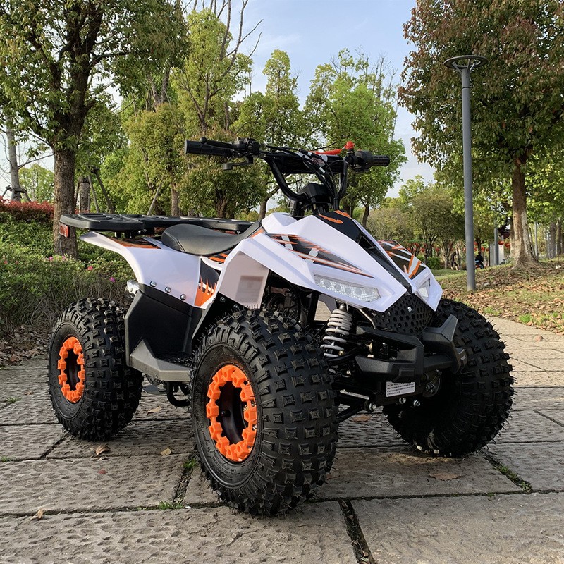 125CC ATV, Small Falcon All-Te - Outdoor Adventure Quad Biking ulasan dan harga