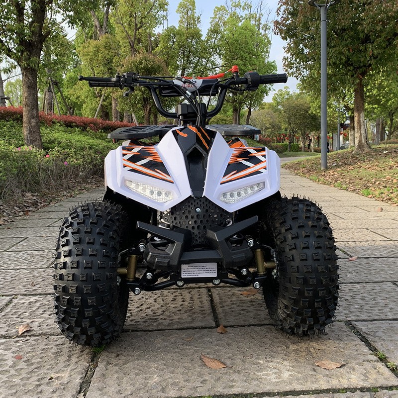 125CC ATV, Small Falcon All-Te - Outdoor Adventure Quad Biking ulasan dan harga