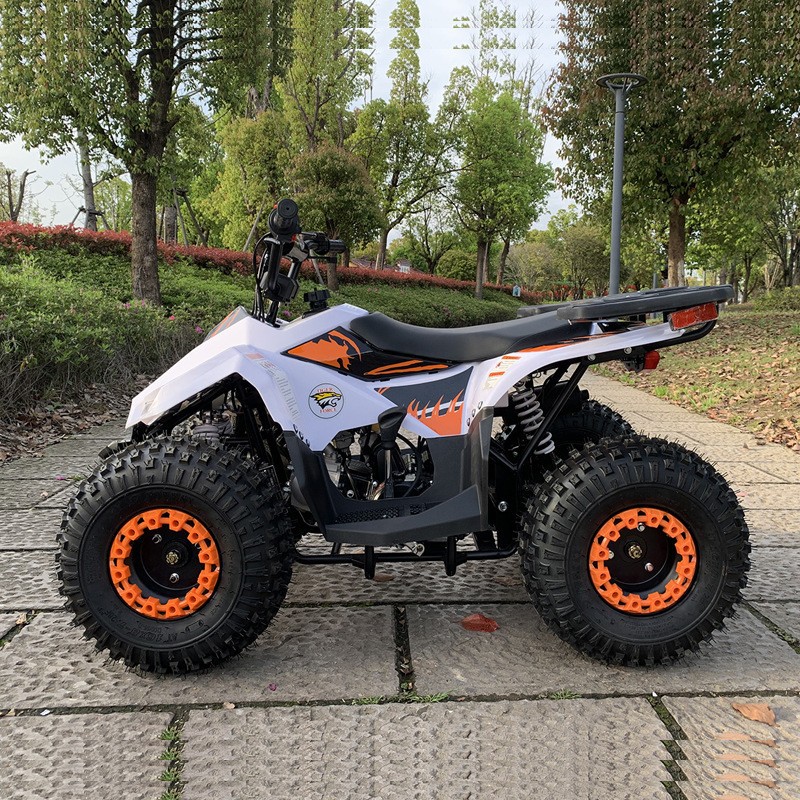 125CC ATV, Small Falcon All-Te - Outdoor Adventure Quad Biking ulasan dan harga