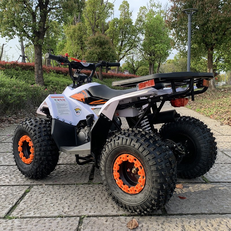 125CC ATV, Small Falcon All-Te - Outdoor Adventure Quad Biking ulasan dan harga
