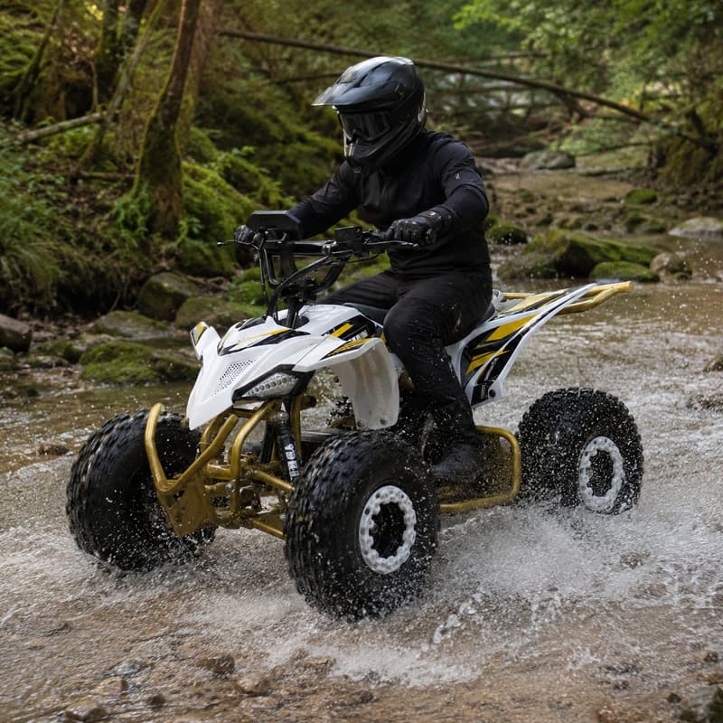 Adult Dune Buggy Customized Fo - Outdoor Adventure Quad Biking ulasan dan harga