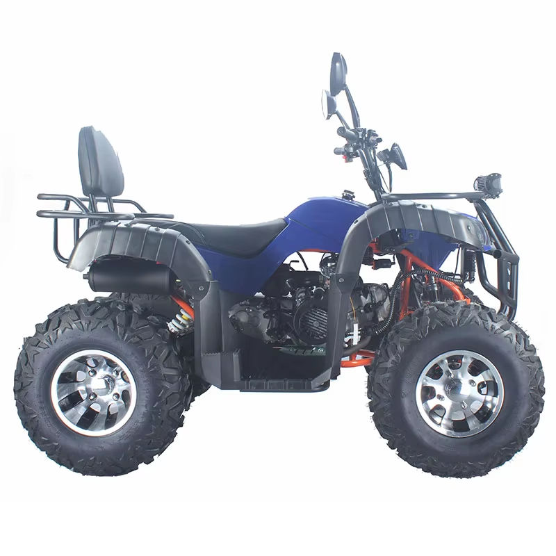 Racing Adult Dune Buggy Custom - Outdoor Adventure Quad Biking ulasan dan harga